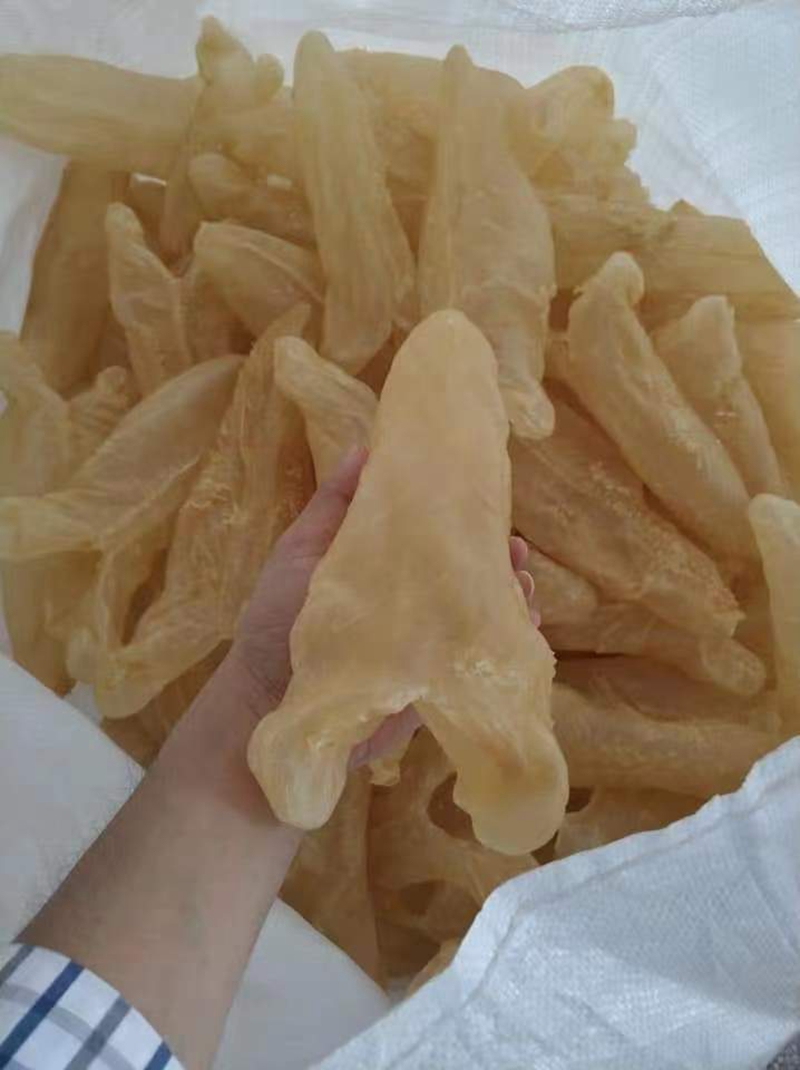 海干类