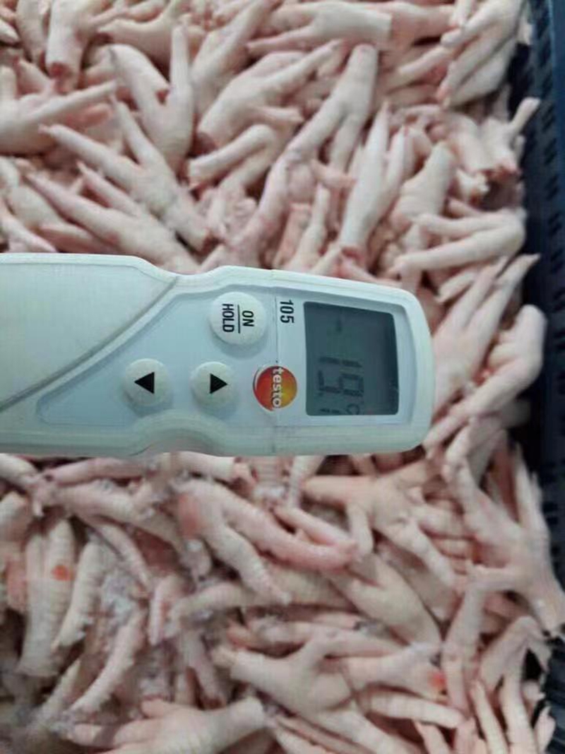 鸡类