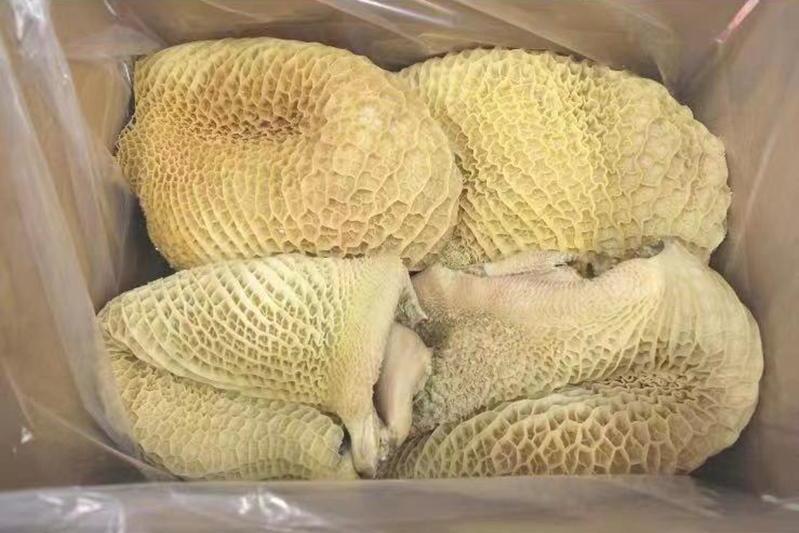 牛肚