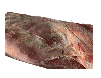 牛肉